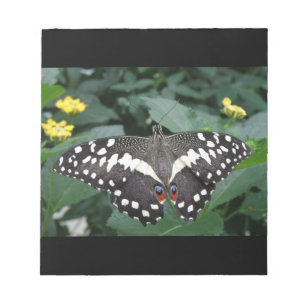 Bloc de notas de mariposa y flores de limón