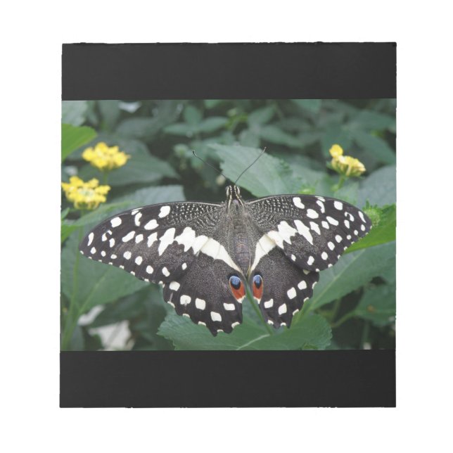Bloc de notas de mariposa y flores de limón (Frente)