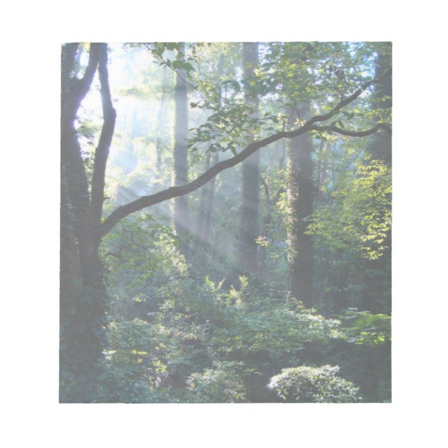 Bloc de notas de primera luz (Frente)