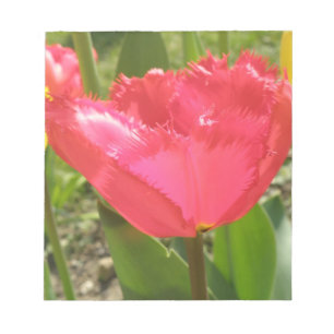 Bloc de notas de tulipanes con bordes