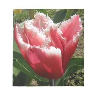 Bloc de notas de tulipano rosado