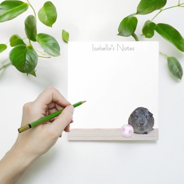 Bloc De Notas De Vuelta Al Colegio Guinea Personalizado De Bola  (Cute custom sticky notes)