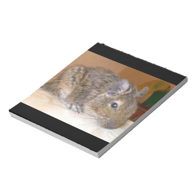 Bloc De Notas Degu Relaxing Notepad (Lado Izquierdo)