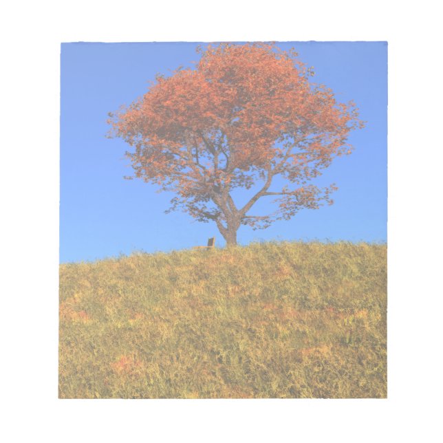 Bloc de notas del Día de Otoño (Frente)