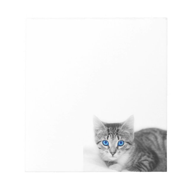 bloc de notas del gato (Frente)