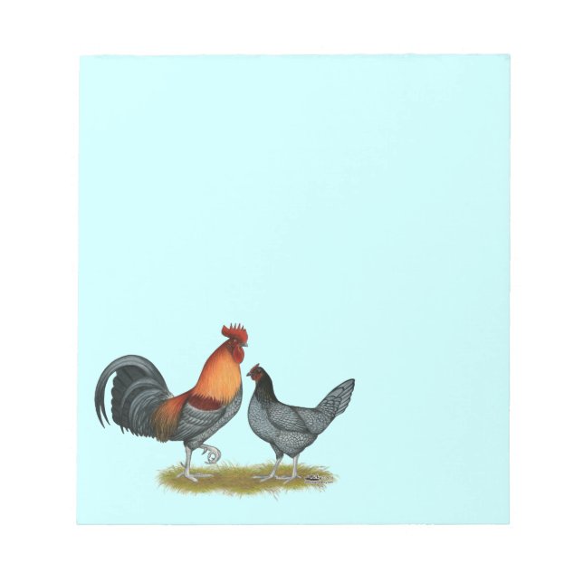 Bloc De Notas Delaware Blue Hen (Frente)
