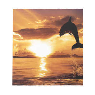 Bloc De Notas delfín de salto con puesta del sol hermosa sobre
