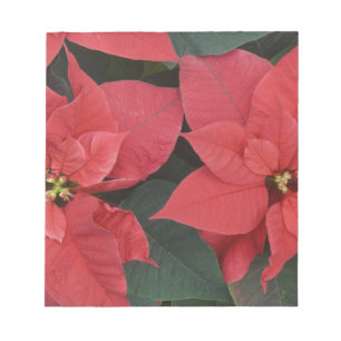 Bloc De Notas Detalle de poinsettia roja (Euphorbia pulcherrima)