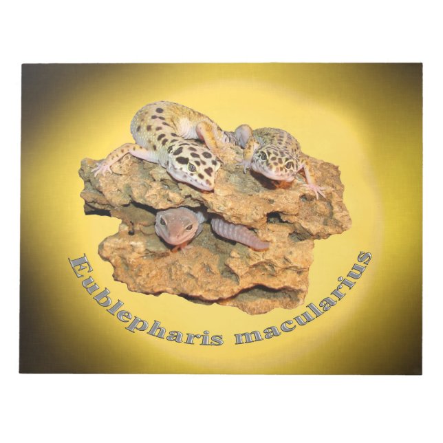 Bloc De Notas ¡Diseño de gecko leopardo para todos! (Frente)