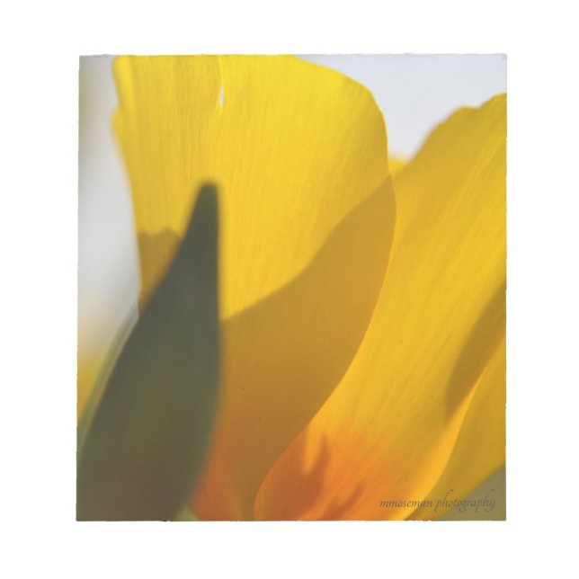 Bloc De Notas Disquete relleno de luz (Frente)