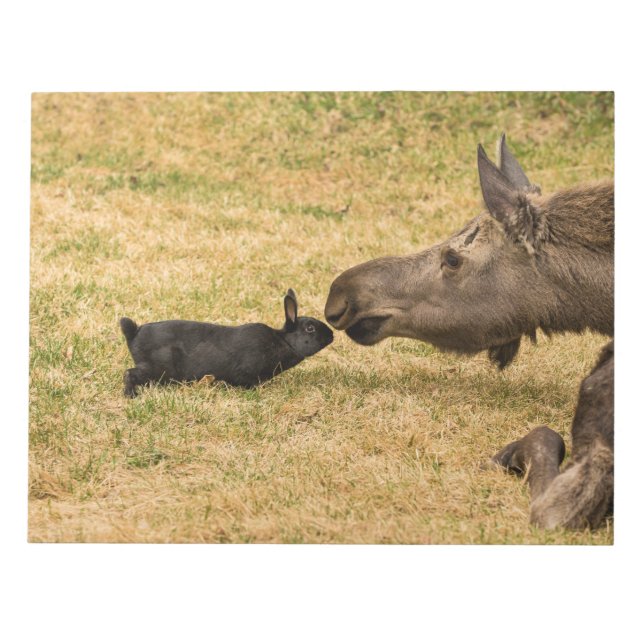 Bloc De Notas Diversidad (Frente)