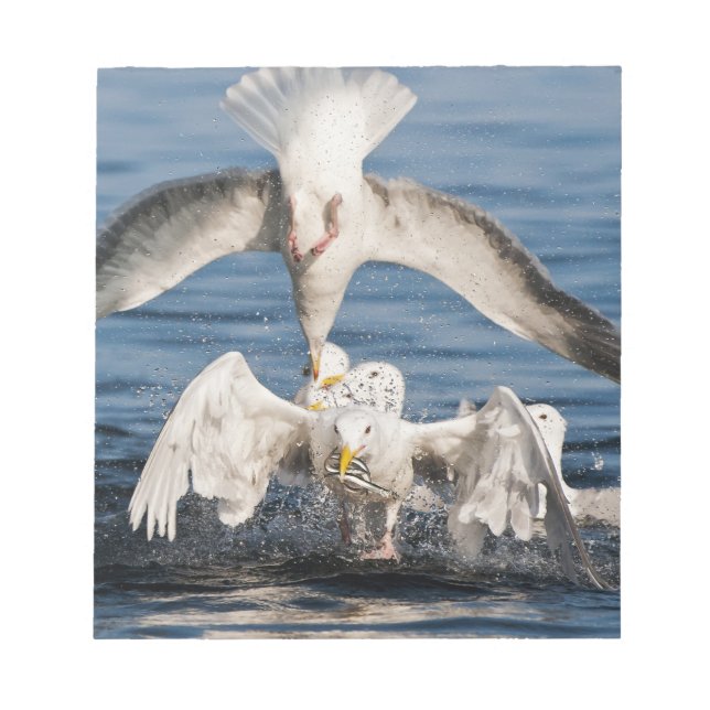Bloc De Notas Diving Gulls (Frente)