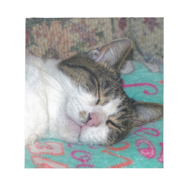 Bloc De Notas Dormir (Frente)