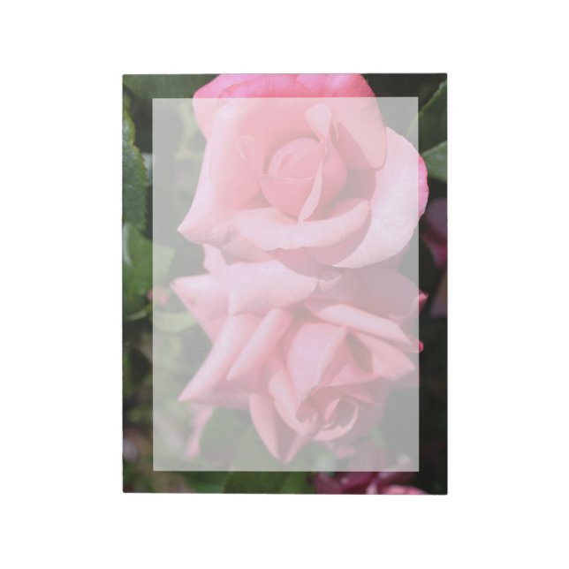 Bloc De Notas dos flores de rosa rosadas calientes perfectas. am (Lado Izquierdo)
