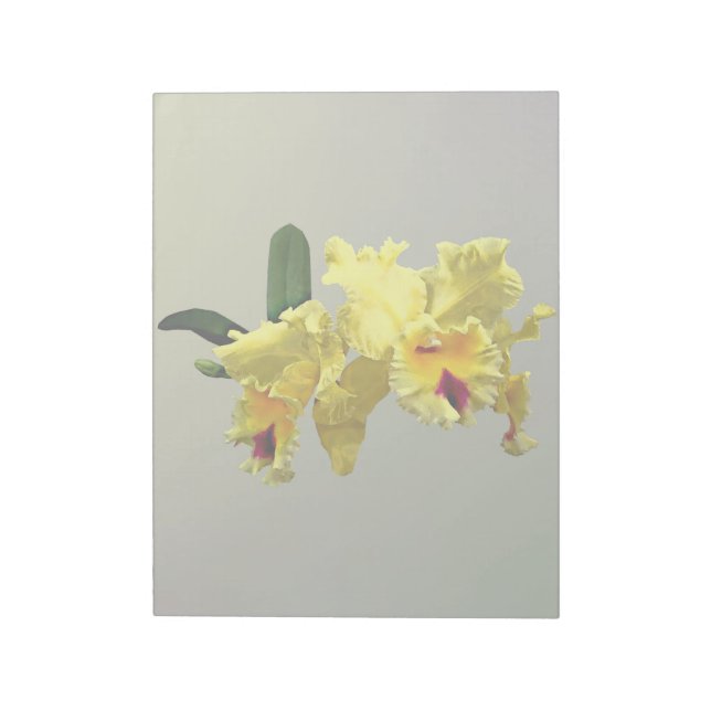 Bloc De Notas Dos orquídeas de atleya amarillas (Lado Izquierdo)