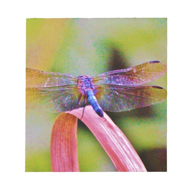 Bloc De Notas Dragón rosa arcoiris brillante (Frente)