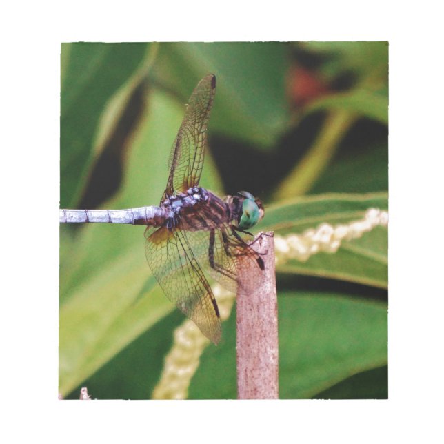 Bloc De Notas Dragonfly con flores blancas (Frente)