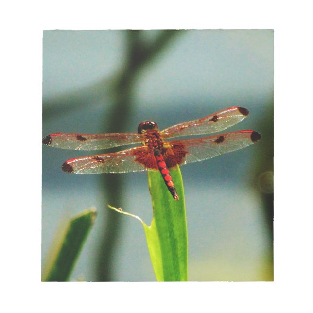 Bloc De Notas Dragonfly rojo y negro visto (Frente)