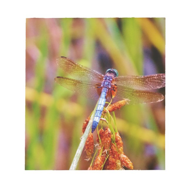 Bloc De Notas Dragonfly verde azulado (Frente)