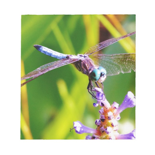 Bloc De Notas Dragonfly verde azulado y púrpura (Frente)