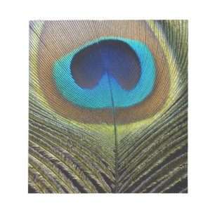 Bloc De Notas Dramática pluma de pavo real