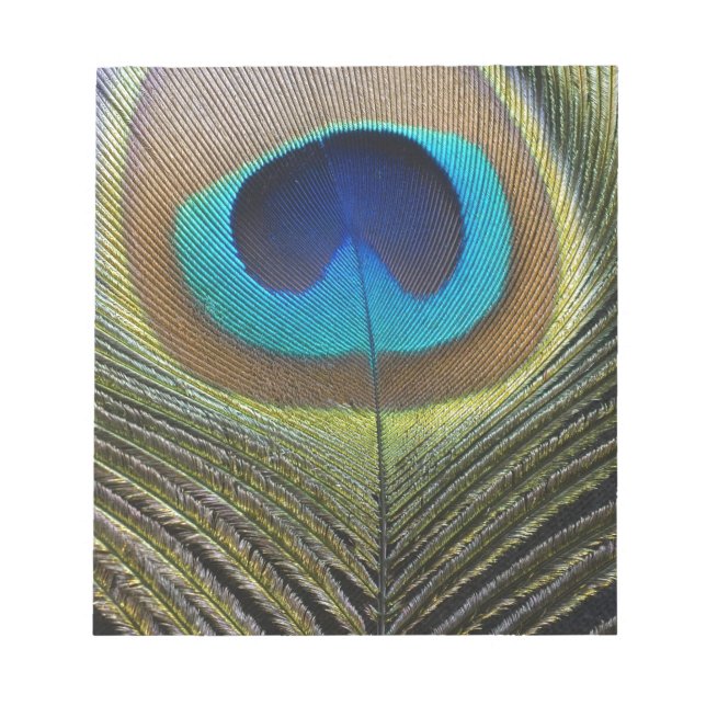 Bloc De Notas Dramática pluma de pavo real (Frente)