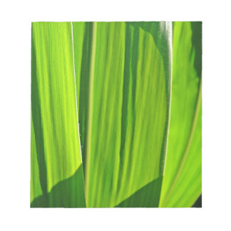 Bloc De Notas Drei grüne Maisblätter