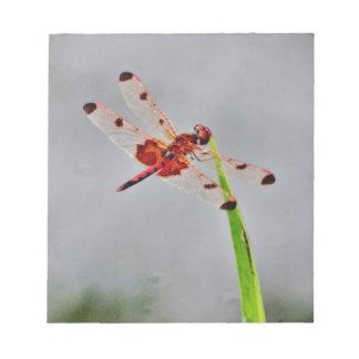 BLOC DE NOTAS DSC00029.JPG