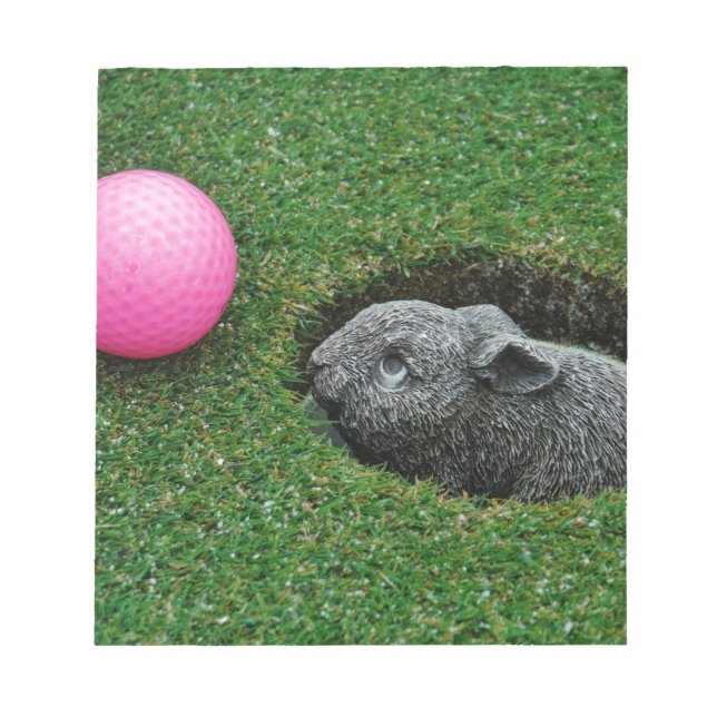 BLOC DE NOTAS DSCF0652.JPG (Frente)