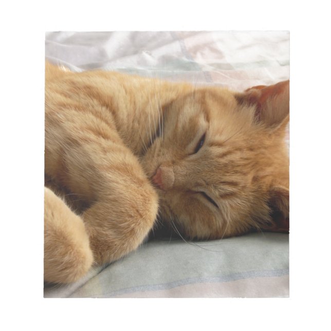 Bloc De Notas Dulces sueños (Frente)