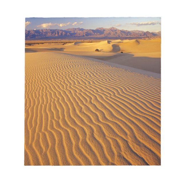 Bloc De Notas Dunas de arena Mesquite Flat en Death Valley (Frente)