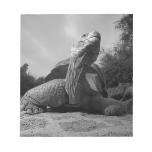 Bloc De Notas Ecuador, Islas Galápagos Parque Nacional, Santa