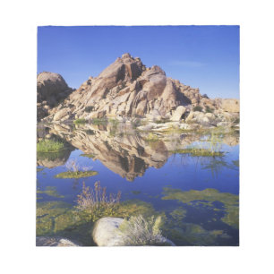 Bloc De Notas EE. UU., California, Parque Nacional Joshua Tree,