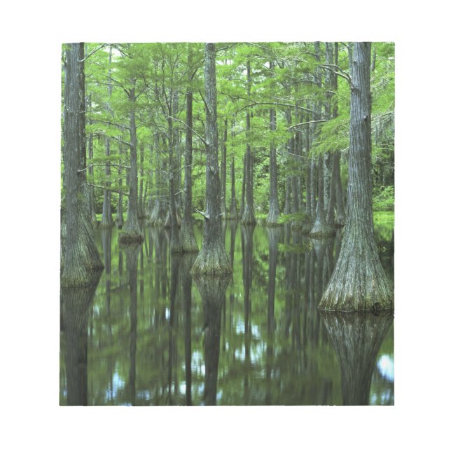 Bloc De Notas EE. UU., Florida, Bosque Nacional Apalachicola, Ca (Frente)
