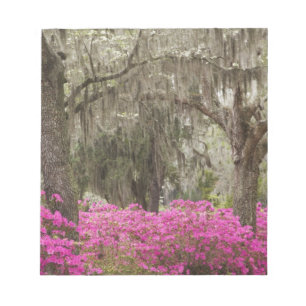 Bloc De Notas EE. UU., Georgia, Savannah, Primavera en Historic