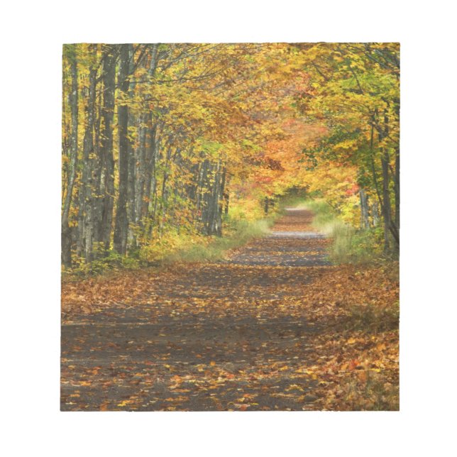 Bloc De Notas EE.UU., Michigan, península superior. Camino hacia (Frente)
