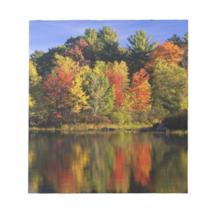 Bloc De Notas EE. UU., New Hampshire, Moultonborough. Árboles en