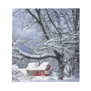 Bloc De Notas EE. UU., Oregón, condado de Clackamas. Nieve fresc