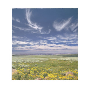 Bloc De Notas EE. UU., Oregón, Monte Steens. La primavera florec