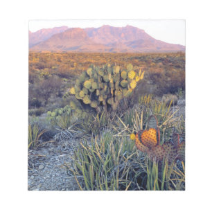 Bloc De Notas EE. UU., Texas, Big Bend NP. Un anochecer arenoso