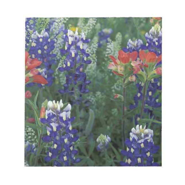 Bloc De Notas EE. UU., Texas Hill Country. Bluebonnets y (Frente)