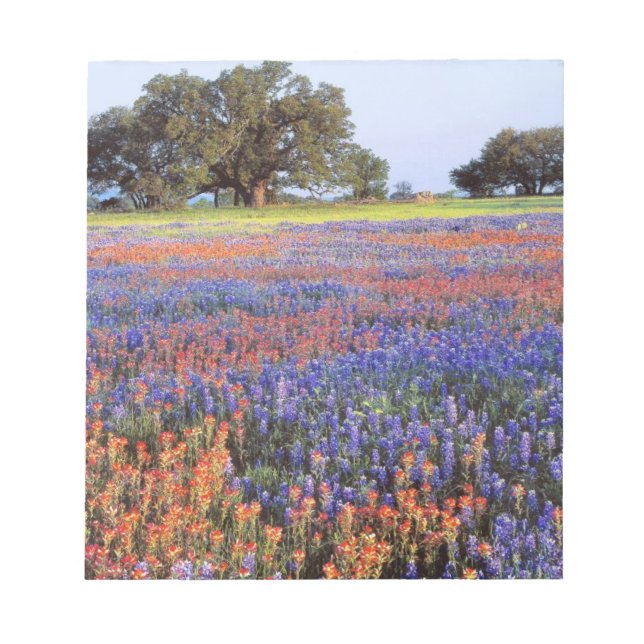 Bloc De Notas EE. UU., Texas, Llano. Bluebonnets y redbonnets (Frente)