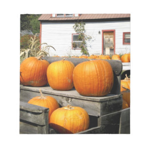 Bloc De Notas EE. UU., Vermont. Calabazas