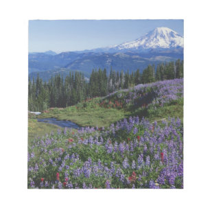 Bloc De Notas EE. UU., Washington Mt. Adams Wilderness, praderas