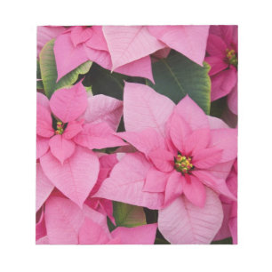 Bloc De Notas EE. UU., Washington, Woodinville, Molbak's Nursery