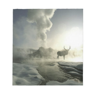Bloc De Notas EE. UU., Wyoming, Parque Nacional Yellowstone. Ama