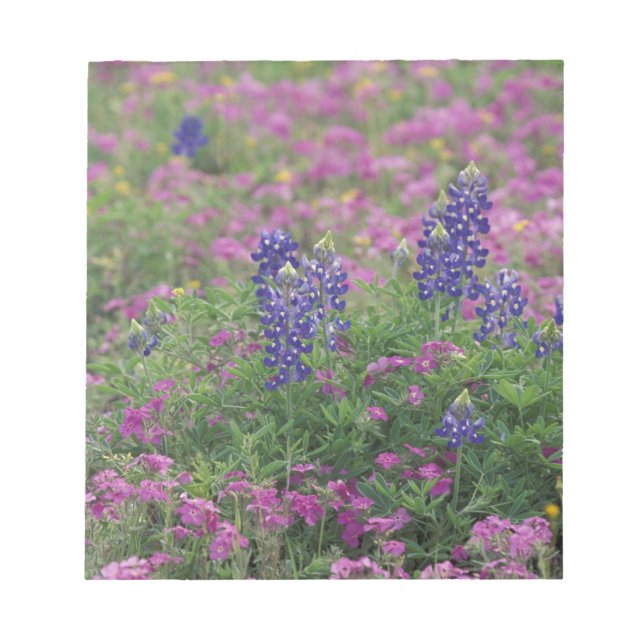 Bloc De Notas EEUU, Texas Hill Country. Bluebonnets entre los fa (Frente)