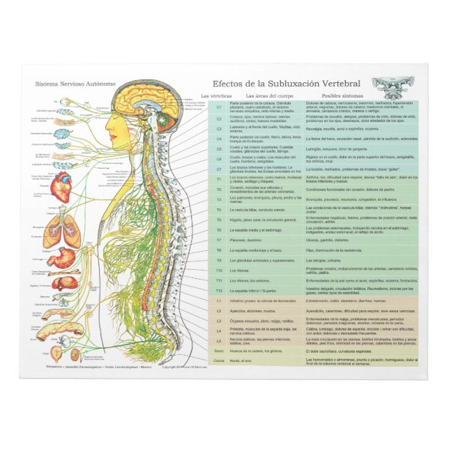 Bloc De Notas Efectos de subluxación de ANS españoles: Almohadil (Frente)