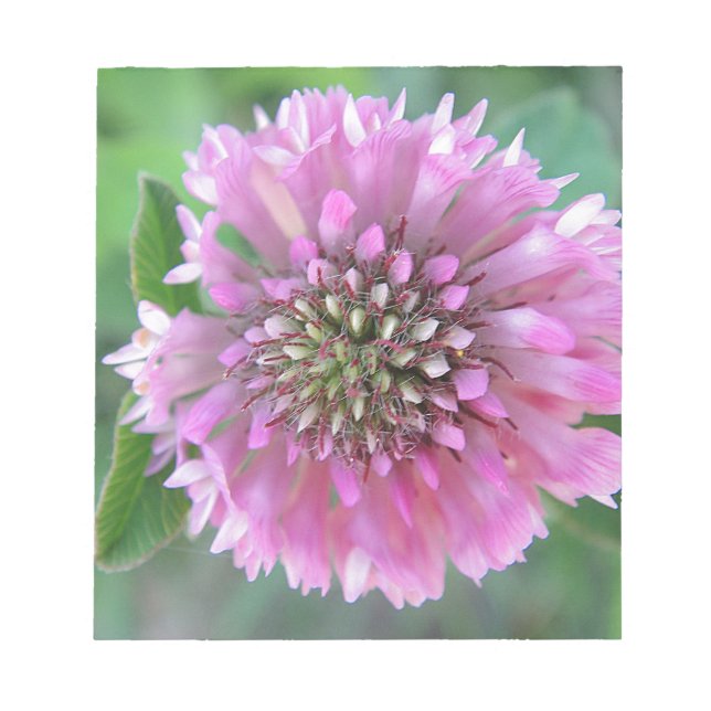 Bloc De Notas Einzigartige rosa Blüte (Frente)