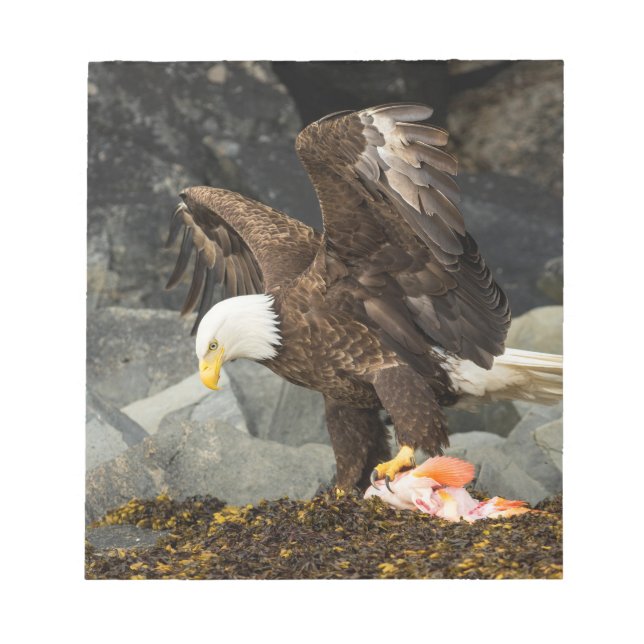 Bloc De Notas El águila calva suprema (Frente)